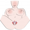 Intimate Spreader Li