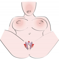 Intimate Spreader Li