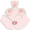 Intimate Spreader Li
