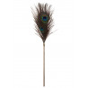 Peacock Tickler Rose Gold
