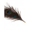 Peacock Tickler Rose Gold
