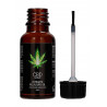 CBD Intimate Pleasure Oil - 20 ml