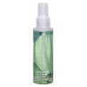 Spray czyszczący dezynfekujący fleshlight 100ml