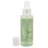 Spray czyszczący dezynfekujący fleshlight 100ml