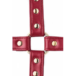 BLAZE ELITE HOGTIE RED
