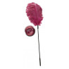 Pink feather