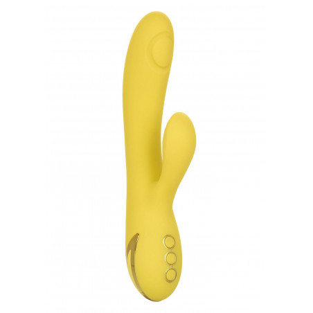 San Diego Seduction Yellow