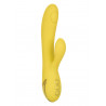 San Diego Seduction Yellow