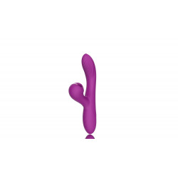 Dual Vibrator with Sucking Function Purple