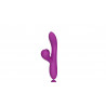 Dual Vibrator with Sucking Function Purple